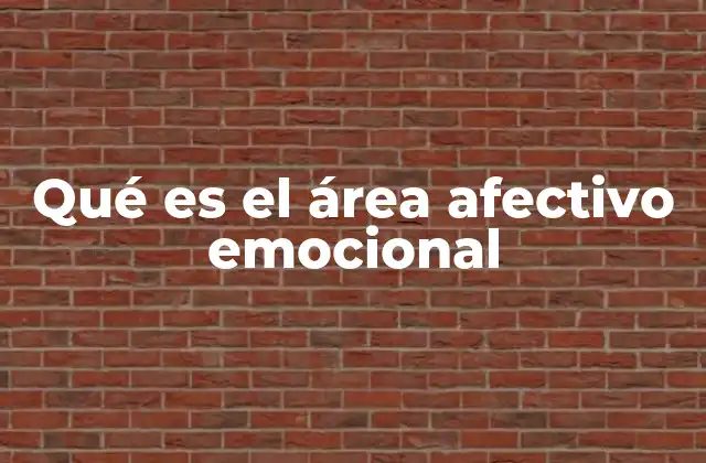 Qué es el Área Afectivo Emocional