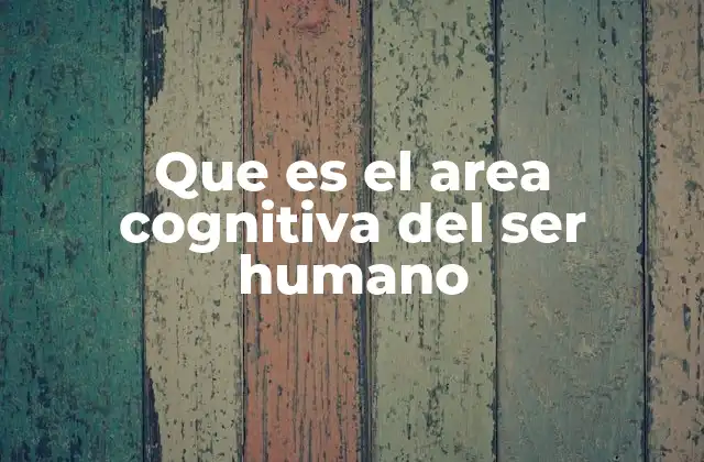 Que es el Area Cognitiva Del Ser Humano