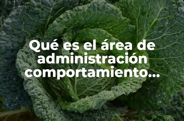 Qué es el Área de Administración Comportamiento Organizacional