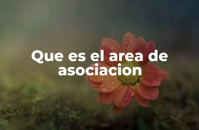 Que es el Area de Asociacion
