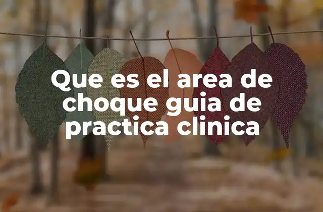 Que es el Area de Choque Guia de Practica Clinica