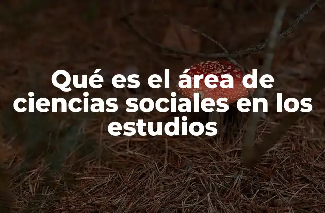 Qué es el Área de Ciencias Sociales en los Estudios
