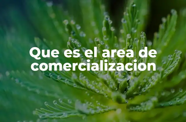 Que es el Area de Comercializacion