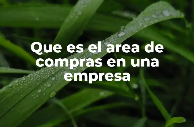 El rol del área de compras en la cadena de suministro