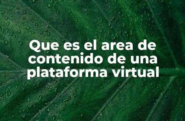 Que es el Area de Contenido de una Plataforma Virtual