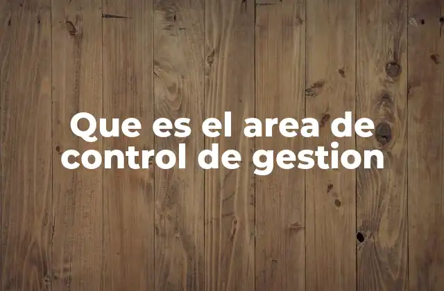 Que es el Area de Control de Gestion