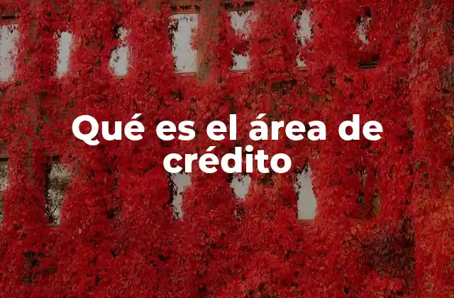 Qué es el Área de Crédito 2 La importancia del análisis crediticio en el proceso financiero