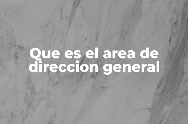 Que es el Area de Direccion General
