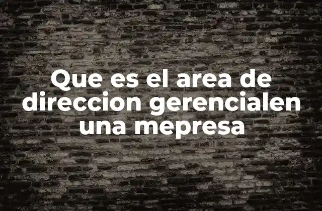 Que es el Area de Direccion Gerencialen una Mepresa