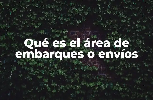 Qué es el Área de Embarques o Envíos