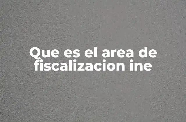 Que es el Area de Fiscalizacion Ine