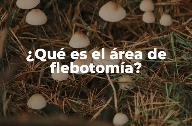¿qué es el Área de Flebotomía?
