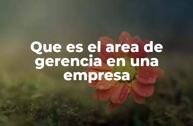 Que es el Area de Gerencia en una Empresa