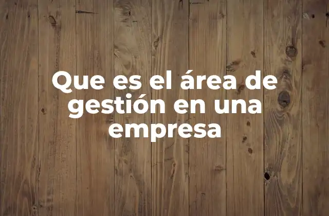 Que es el Área de Gestión en una Empresa