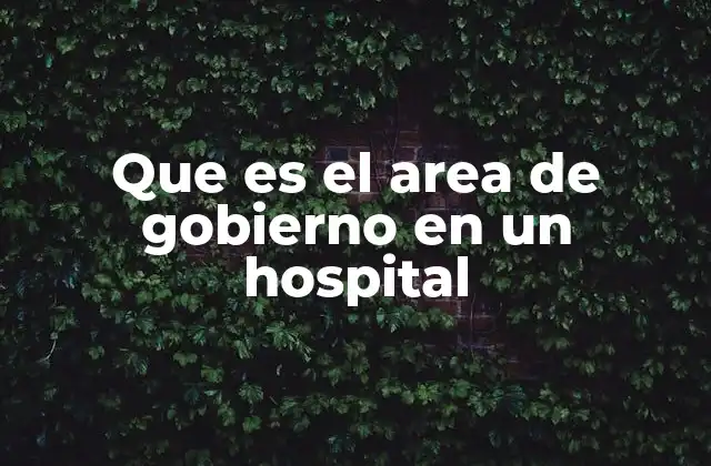 Que es el Area de Gobierno en un Hospital