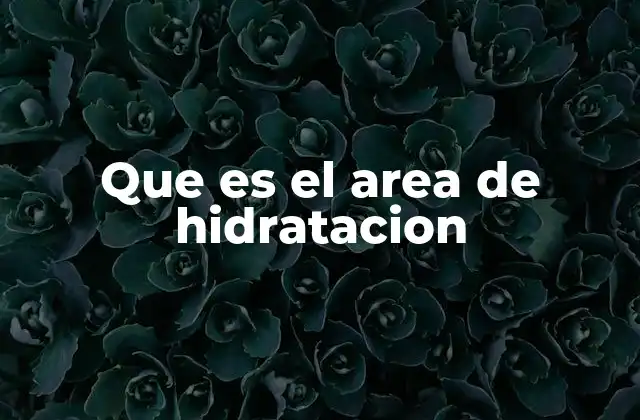Que es el Area de Hidratacion