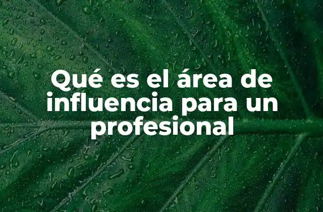 Cómo el área de influencia afecta la dinámica laboral