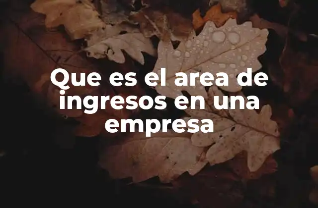 Que es el Area de Ingresos en una Empresa