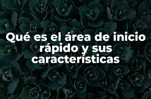 Qué es el Área de Inicio Rápido y Sus Características