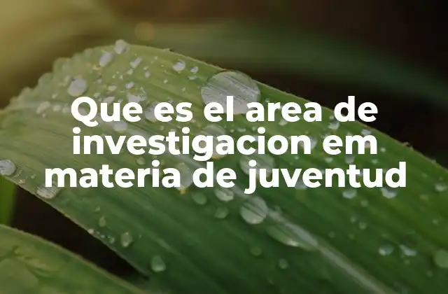 Que es el Area de Investigacion Em Materia de Juventud