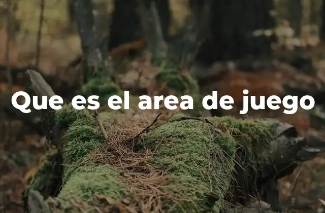 Que es el Area de Juego