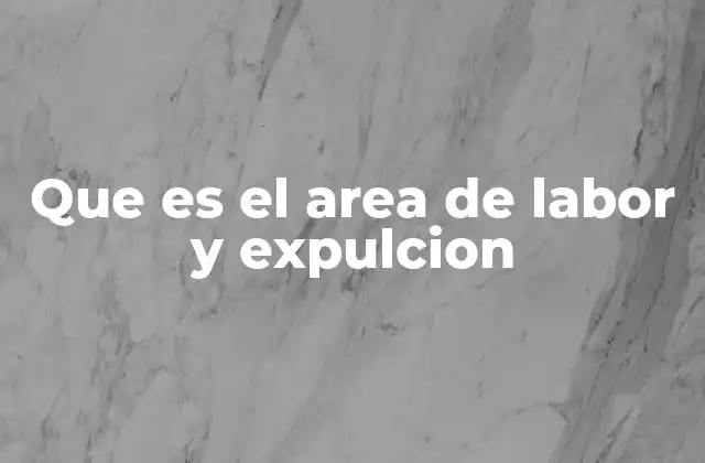 Que es el Area de Labor y Expulcion