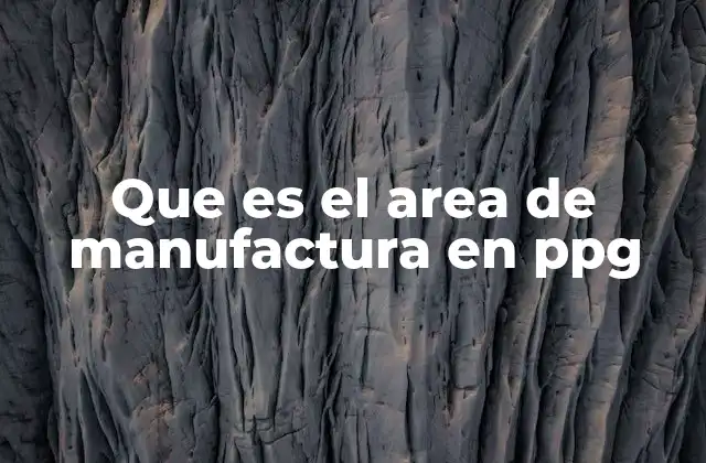 Que es el Area de Manufactura en Ppg