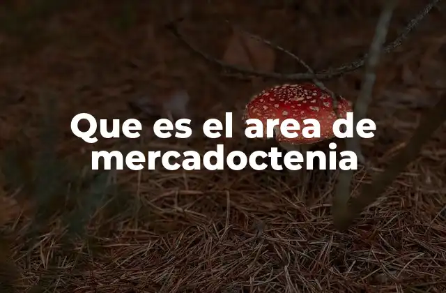 Que es el Area de Mercadoctenia