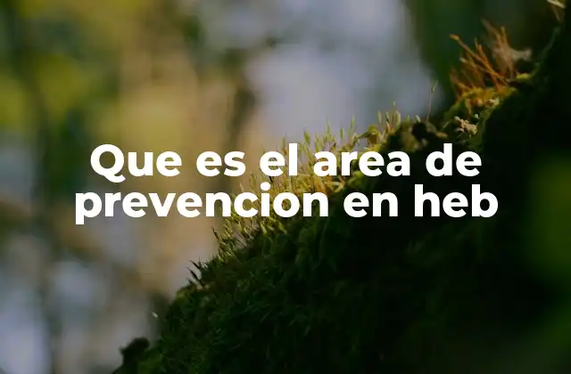 Que es el Area de Prevencion en Heb