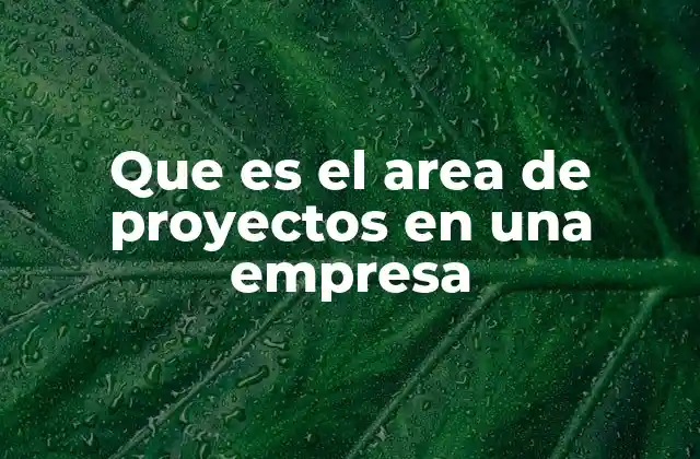 La importancia de un departamento especializado en proyectos