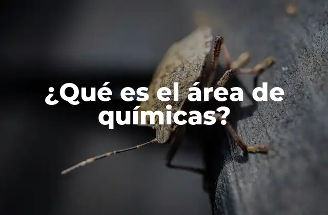 ¿qué es el Área de Químicas? 2 La importancia de la química en la vida cotidiana
