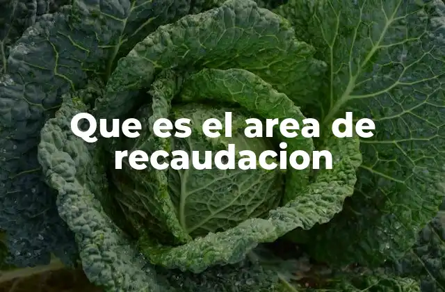 Que es el Area de Recaudacion