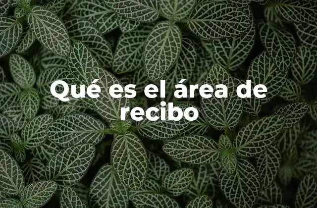 Qué es el Área de Recibo