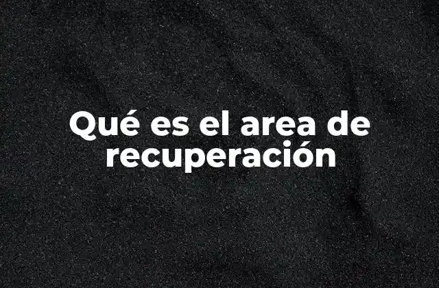Qué es el Area de Recuperación