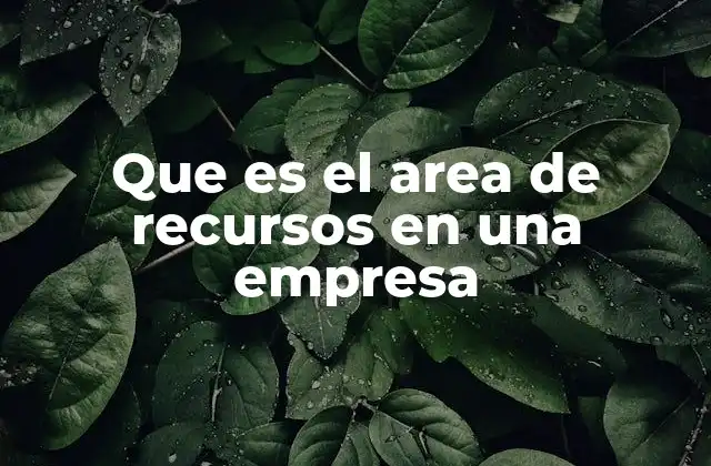 Que es el Area de Recursos en una Empresa