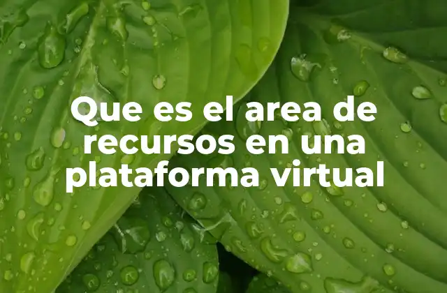 Que es el Area de Recursos en una Plataforma Virtual
