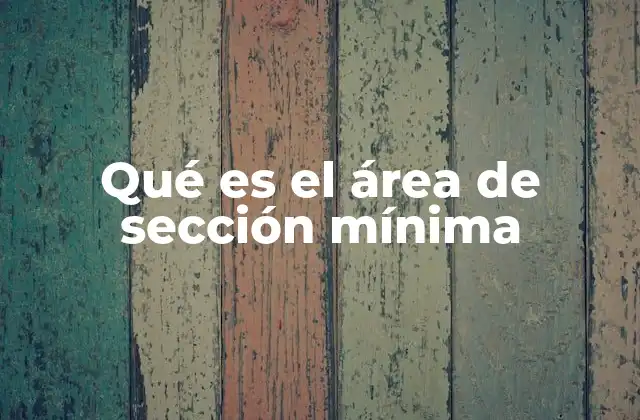 Qué es el Área de Sección Mínima