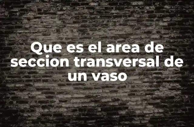 Que es el Area de Seccion Transversal de un Vaso