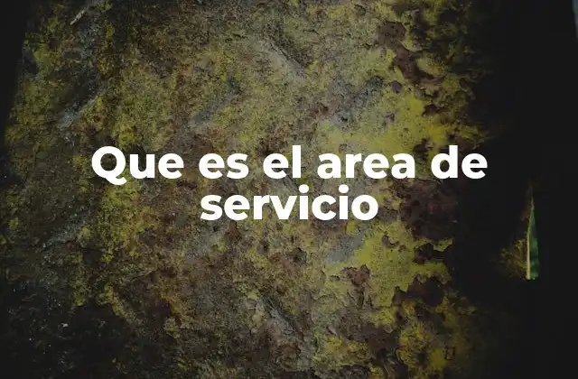 Que es el Area de Servicio
