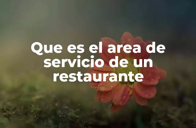Que es el Area de Servicio de un Restaurante