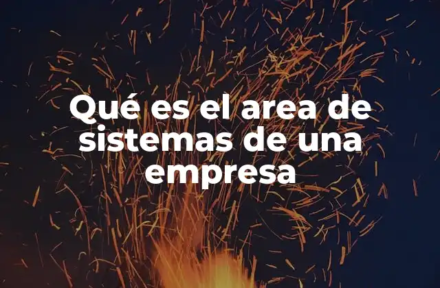 Qué es el Area de Sistemas de una Empresa