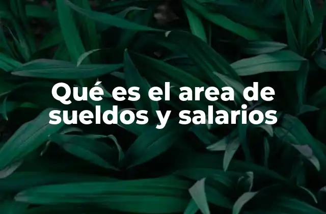 Qué es el Area de Sueldos y Salarios