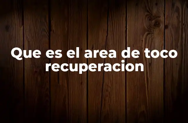Que es el Area de Toco Recuperacion