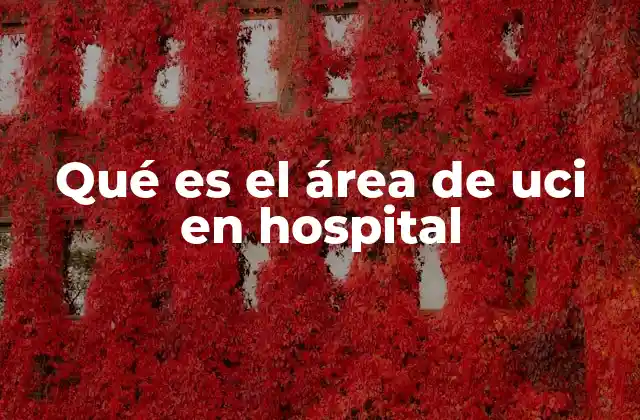 Qué es el Área de Uci en Hospital