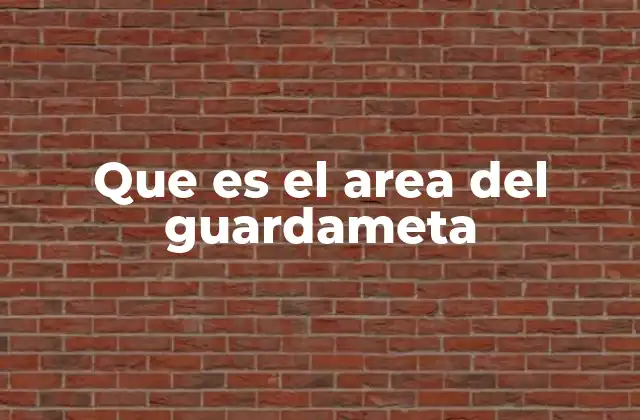 Que es el Area Del Guardameta
