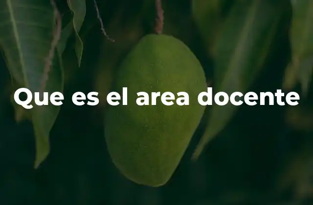 Que es el Area Docente