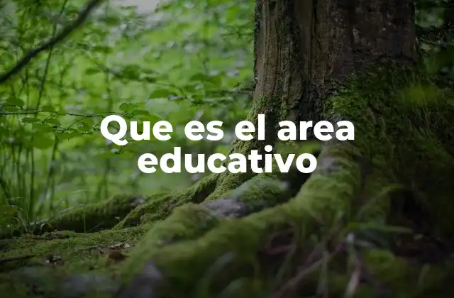 Que es el Area Educativo