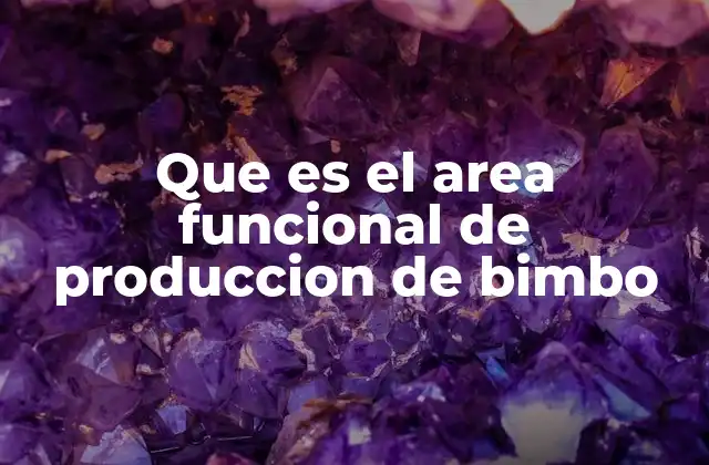 Que es el Area Funcional de Produccion de Bimbo