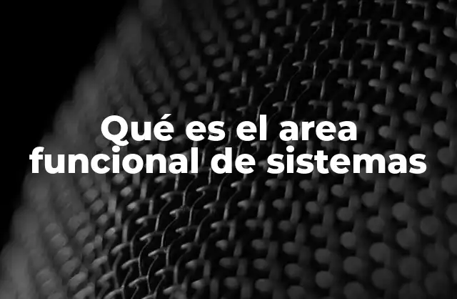Qué es el Area Funcional de Sistemas
