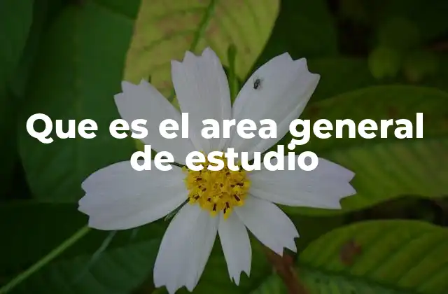 Que es el Area General de Estudio